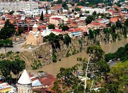 Image result for Barleria holubii