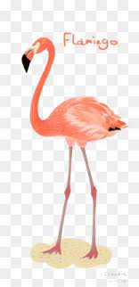 ناقلات فلامنجو flamingo