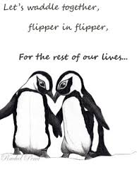 Get over it, was put up by zookeepers and staff in the zoological society of london's lgbtq+ society as part of. Penguin Love Quotes Quotesgram