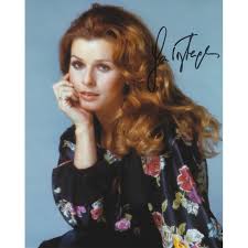 Do more with senta · mailchimp · google sheets · microsoft excel · cognito forms · practice ignition · calendly · google forms · goproposal. Senta Berger Autograph