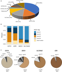 Molecular and clinicopathological characteristics of ROS1‐rearranged  non‐small‐cell lung cancers identified by next‐generation sequencing