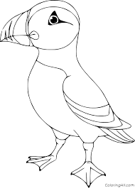 Coloring page of puffin, atlantic aquatic bird. Cartoon Atlantic Puffin Coloring Page Coloringall