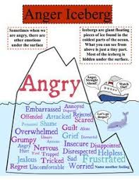 image result for primary and secondary emotions chart