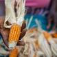 Is (Cutting) International Aid Good? event image