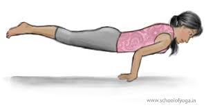 Check spelling or type a new query. Mayurasana Peacock Pose School Of Yoga