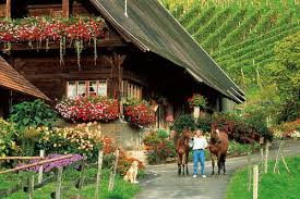 Photo Guide Of The Black Forest Black Forest Germany Black Forest Forest Photos