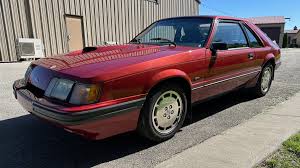 Image result for Maroon 1986 UMM