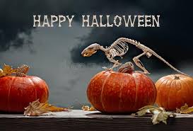 The most common scary face pumpkin material is metal. Happy Halloween Skeleton Of Rat On Pumpkin With Painted Face Burning Candles And Flock Of Bats In Gloomy Sky Decor For Party Stock Image Image Of Celebration Candles 161656213