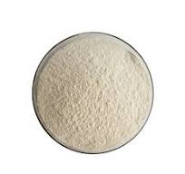 cGMP Factory Supply High Quality 90% Epicatechin L-theanine Green Tea Extract for Healthcare Supplement