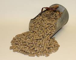 The sooner morgan is quarantined from the public the better. Bryant Grain Company Feed 14 Creep Pellets Wildlife Feed 5 32 Inch 50 Pound At Sutherlands