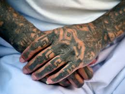 It took root in neighbourhoods dominated by mexican gangs, and later expanded to other parts of the country. How One Man Spent A Year With Ms 13 And Lived To Tell The Tale The Independent The Independent