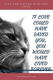 Remember Me Coping With Grief Of Pet Loss Life Cats Pet Loss Cat Pet Quotes Cat Pet Grief