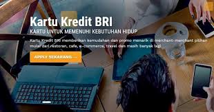 Gratis executive lounge bagi kartu gold & platinum di 33 lokasi bandara. Cara Membuat Kartu Kredit Bri Secara Online Dan Offline Lengkap