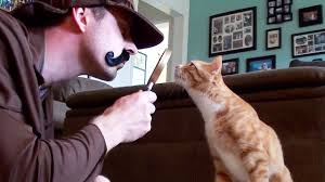 She certainly sped up the discovery of her cancer and the earlier cancer is detected, the better the chances are of having a positive prognosis. Cole And Marmalade S Human Shares Important Information About Detecting Cancer In Cats