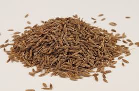 The cumin spice is the dried seed of the cumin plant, which is why cumin is also known as cumin seeds and is available in this form. Cumin Seeds Taste Sensation
