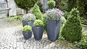 Aprende a decorarlo en pasos súper simples y divertidos. Patio Con Flores Rodeate De Belleza Y Color Westwing