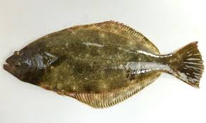 シック dvd tvゲーム pcソフト パソコン・周辺機器 家. ã'ã©ã¡ é­é¡ å¸å ´é­è²é¡å³é''