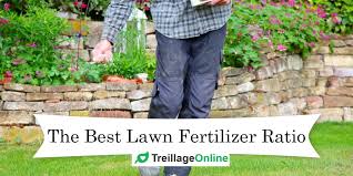 Maybe you would like to learn more about one of these? What S The Best Lawn Fertilizer Ratio Treillageonline Com