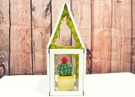 Plants breathe life into a home, adding beautiful colors and textures that only add to your home decor. How To Make A Mini Greenhouse Using Picture Frames Diy