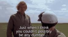 With tenor, maker of gif keyboard, add popular dumb and dumber moped animated gifs to your conversations. Dumb And Dumber Scooter Gifs Tenor