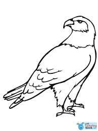 Hawk Bird Coloring Page Free Printable Coloring Pages Throughout Hawk Bird Coloring Pages Printable Free Bird Coloring Pages Coloring Pages Owl Coloring Pages