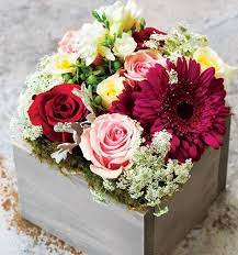 We did not find results for: 34 Best Olive And Cocoa Flowers Ideas Olive And Cocoa Floral Gifts Flower Arrangements