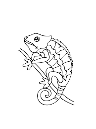 Take a look at our enormous collection of festive holiday coloring sheets, all completely. Free Chameleon Coloring Pages Download And Print Chameleon Coloring Pages