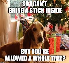 Dog Christmas Meme Christmas Dog Christmas Memes Funny Christmas Pictures