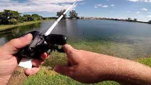With this offer not only will you able to enjoy streaming and amplifiying your music with the soundhub, but you will also listen to a fantastic. Breaking In My New Fishing Combo Favorite White Bird Casting Rod And The Shimano Caius 150 A Youtube