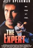 Ekspert (1995)