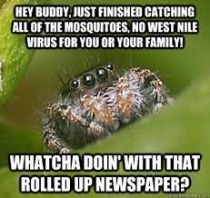 Make dog in burning house memes or upload your own images to make custom memes. Man Burns Down House To Kill Spider