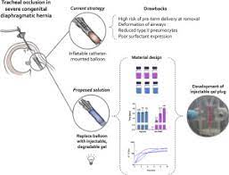 Get started using our labeled and unlabeled diagrams and quizzes. An Injectable Degradable Hydrogel Plug For Tracheal Occlusion In Congenital Diaphragmatic Hernia Cdh Sciencedirect