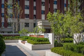 reparo 重启生活 社区中的活氧魔法之森丨天津旭辉天悦风华 大区 modern landscaping landscape modern