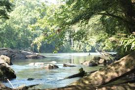 Find more ways to say shoals, along with related words, antonyms and example phrases at thesaurus.com, the world's most trusted free thesaurus. About Saluda Shoals Park Icrc