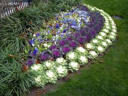 You can plant a perennial any time, but the best time to plant is fall and spring. 7 Advantages Of Perennial Plants The Plant Guide