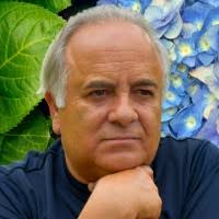 300+ perfis com “Pavão”