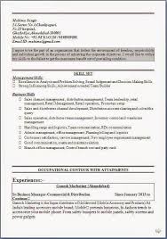Cv Profile Summary Cv Profile Influencing Skills Management Skills