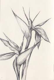 By Stephanie Pyne Tattoo Bird Of Paradise Quilt Jpg 670 1001 Bird Of Paradise Tattoo Paradise Tattoo Birds Of Paradise Flower