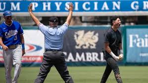Barron Collier falls to Archbishop McCarthy in Class 5A state baseball  semifinal