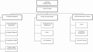 Organizational Chart Human Resources Contact Www Imghulk Com