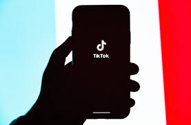 And there's a reason for this: How To Go Viral On Tiktok In Just 5 Steps Techpluto Com