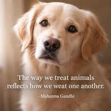 There are no limits to compassion. Treating animals with kindness means  treating the planet with kindness 🐶🐴🐣💖