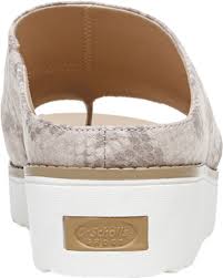 I got it with the dr. Dr Scholl S Women S Dr Scholl S Morris Toe Loop Sandal Sand Dollar Snake Fabric 10 M Walmart Com Walmart Com