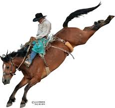 The ellensburg rodeo is one of the old rodeos and has earned its place as one of america's top 10 professional rodeos. Nebraska S Big Rodeo Outdoor Rodeo Capital Of Nebraska