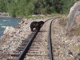 Durango Silverton Train Map The Route - Official Durango & Silverton Narrow Gauge Railroad Train