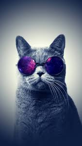 Pin By Markruse17 On Wallpaper Ponsel Cat Background Cat Aesthetic Cool Backgrounds For Iphone