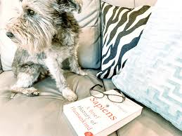 Because a regular name just won't do for an extraordinary dog likes yours. 210 Cool Unique Dog Names Based On Literary Characters The Schnauzer Collective