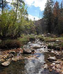 Maybe you would like to learn more about one of these? Tonto National Forest Christopher Creek Campground And Group Site