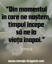 Multi oameni cred ca au nevoie de anumite obiecte pentru a fi fericiti si ca fericirea va veni atunci cand isi vor atinge obiectivele propuse. Pin On Citate Celebre Curiosa