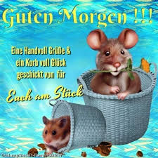 Guten morgen bilder spruche fur whatsapp kostenlos in 2020 guten. Guten Morgen Bilder Guten Morgen Sonntag Guten Morgen Grusse Guten Morgen Freitag Guten Morgen Gif